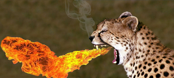 A cheetah with fire coming out of its mouth.